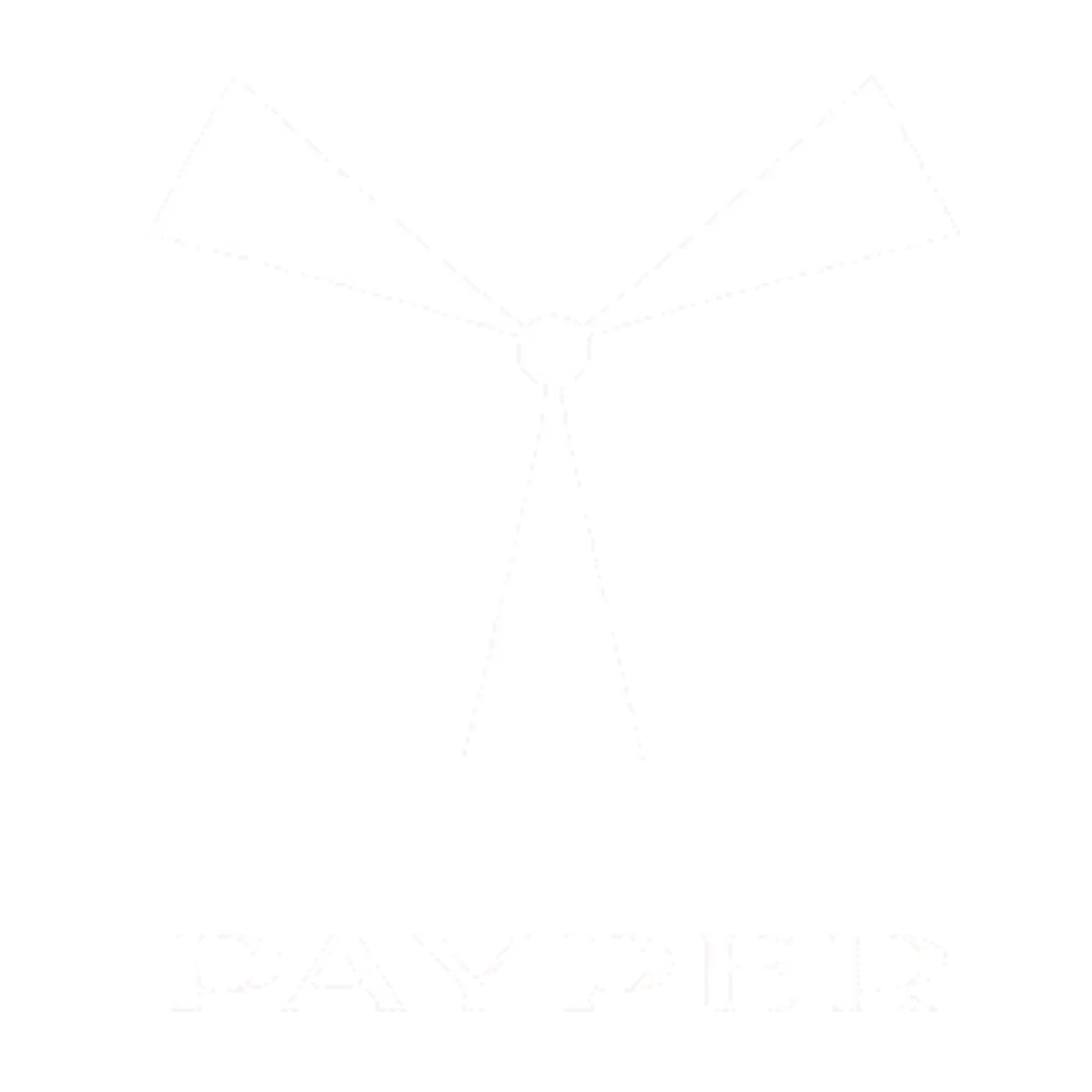 Logo payper