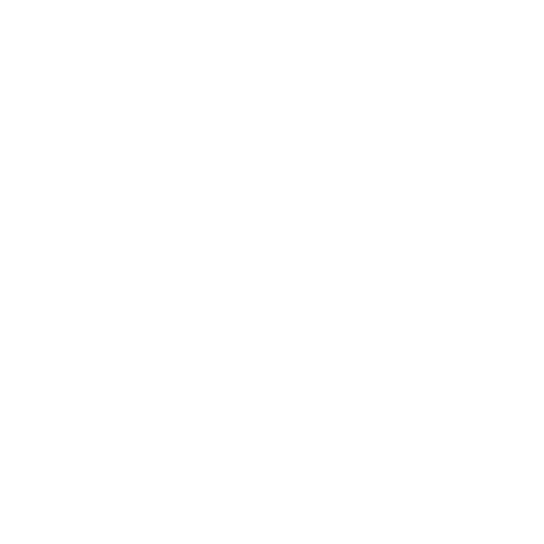 Logo solo